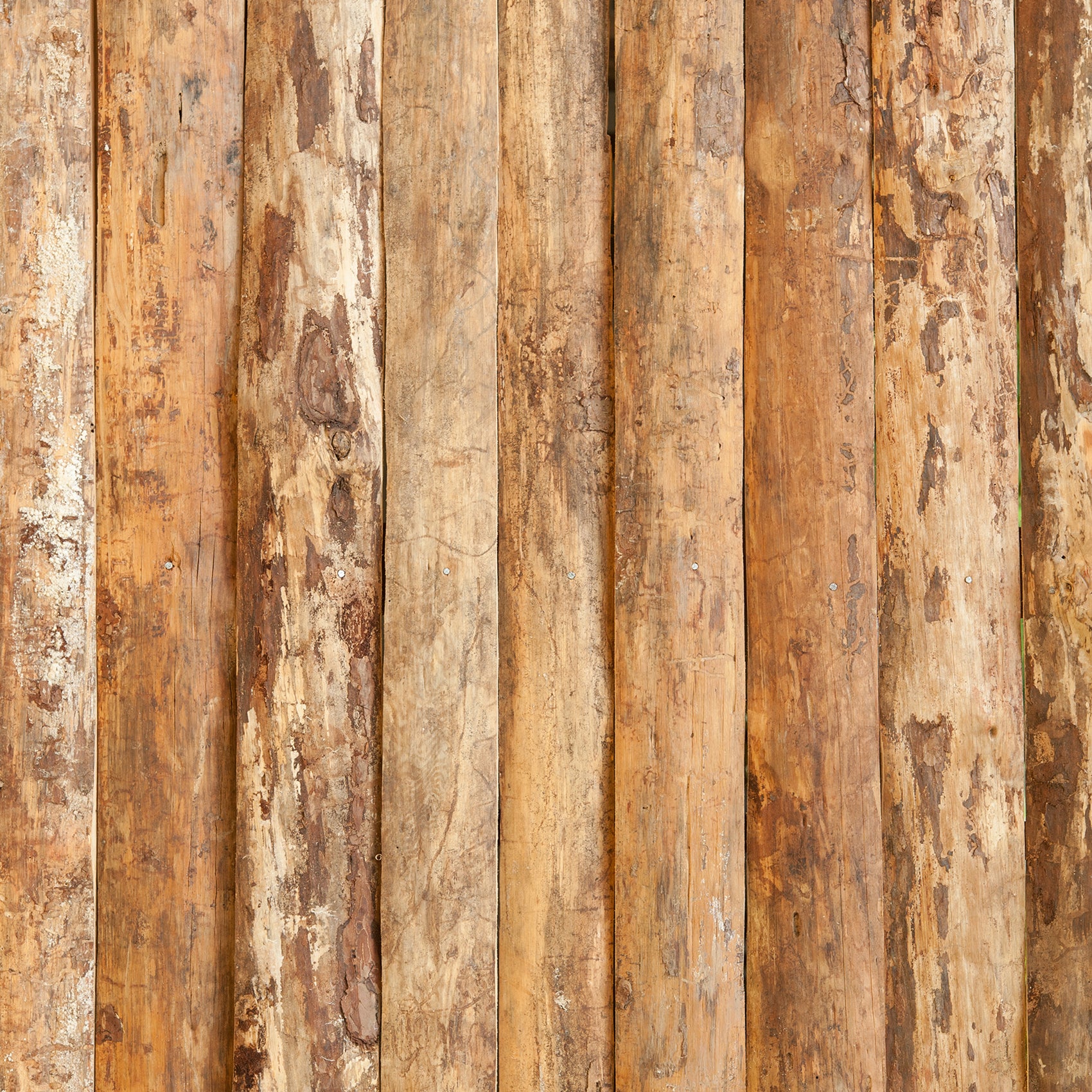 Rustic Distressed Wood Backdrop Photography Background #1764 Tree Trunk