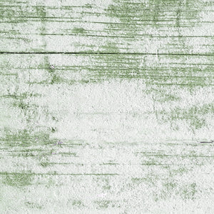 Rustic Distressed Wood Backdrop Photography Background #1771 Snow With Moss